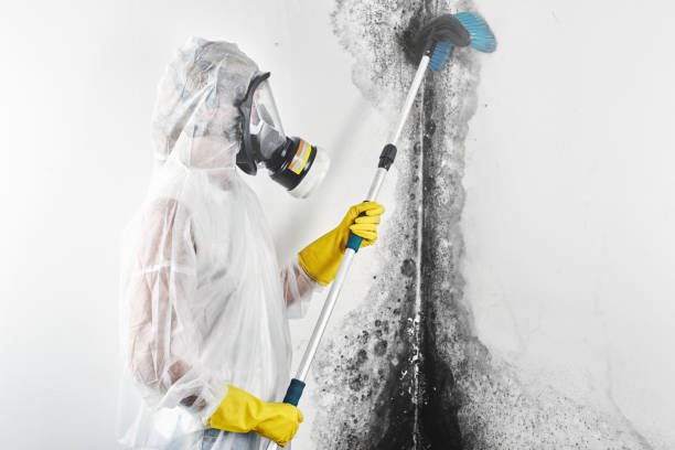 Best Emergency Mold Remediation  in La Crosse, KS