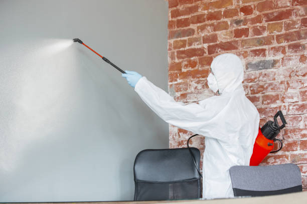 Best Crawl Space Mold Remediation  in La Crosse, KS