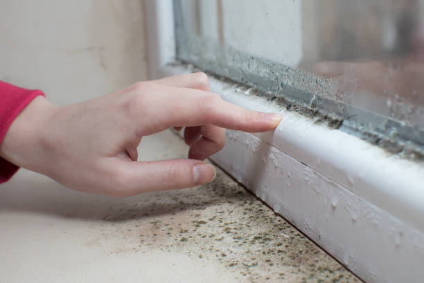 Best Airborne Mold Testing  in La Crosse, KS