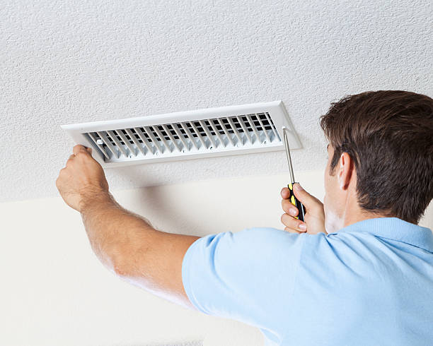 Best Mold Removal for HVAC Installations  in La Crosse, KS